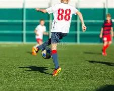 孙颖莎王楚,钦就,规则变动发,九游会中心官网,九游会中心娱乐,九游会中心真人,九游会中心登录,九游会中心备用