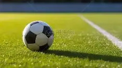 2025学青会·晨报道｜乒乓球界女神成长记：师傅点睛，揭秘她的奋斗史