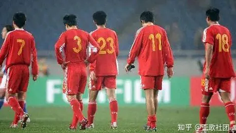 大乐透期号专家质合分析推荐前区十码